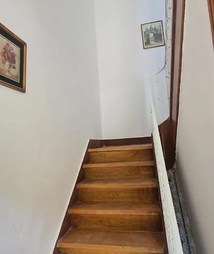 S.soares Grey Beato *